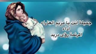 جميله أنت